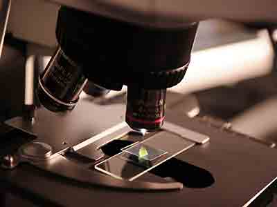 ACCHRT - microscop